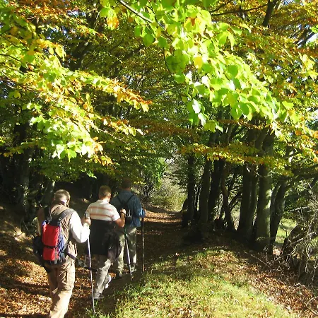 Ferienwohnung-panorama * Rauenstein